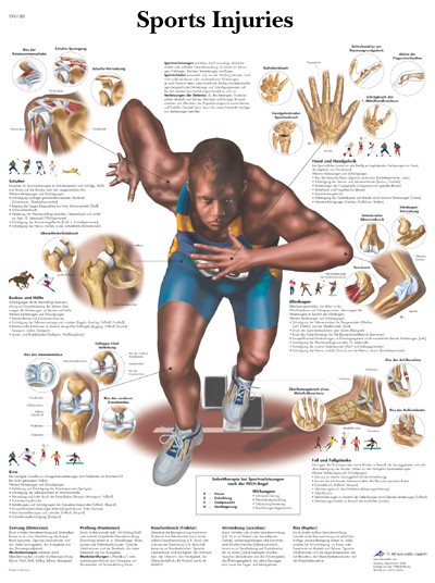 All Products - Sport Injuries